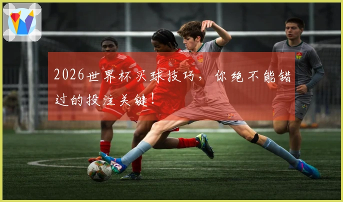 2026世界杯买球技巧，你绝不能错过的投注关键！