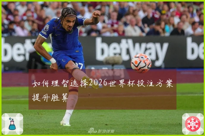 如何理智选择2026世界杯投注方案提升胜算