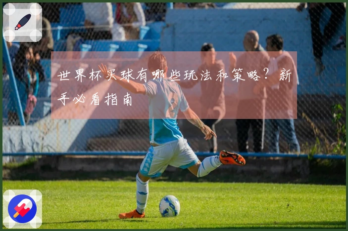 世界杯买球有哪些玩法和策略？新手必看指南