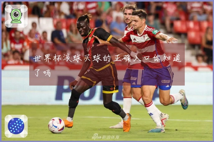 世界杯滚球买球的正确入口你知道了吗