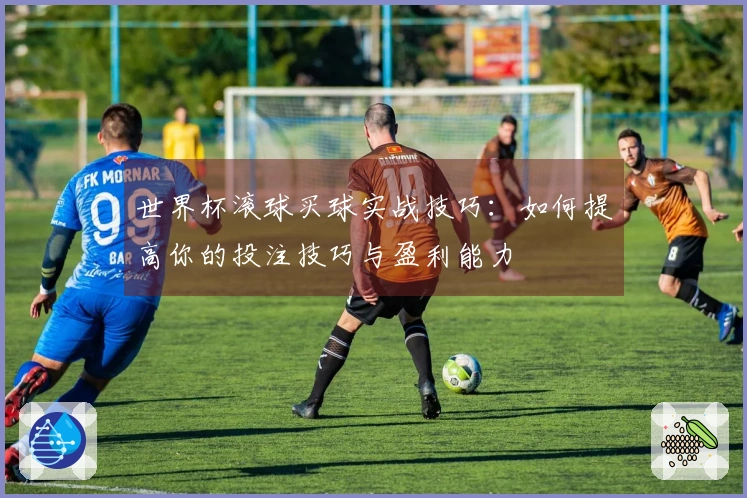 世界杯滚球买球实战技巧：如何提高你的投注技巧与盈利能力