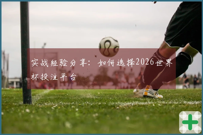 实战经验分享：如何选择2026世界杯投注平台