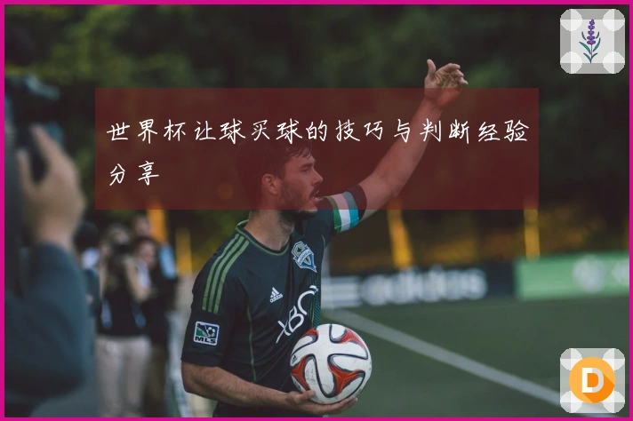 世界杯让球买球的技巧与判断经验分享