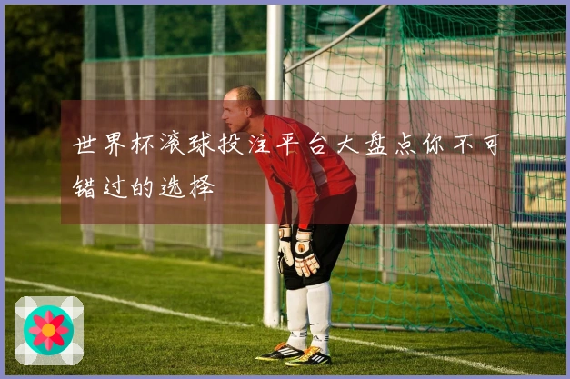 世界杯滚球投注平台大盘点你不可错过的选择