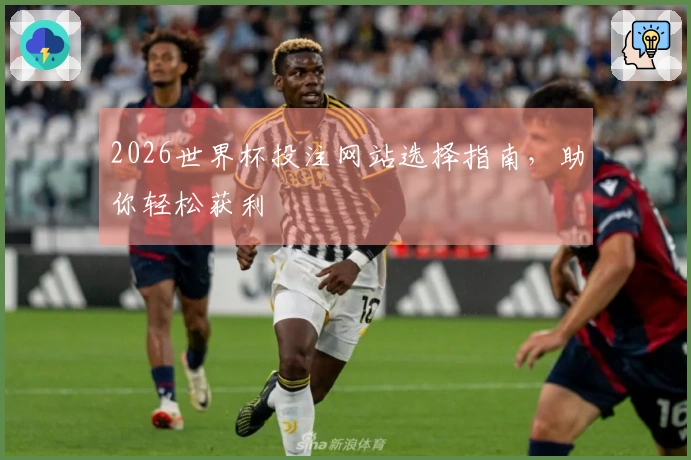 2026世界杯投注网站选择指南，助你轻松获利
