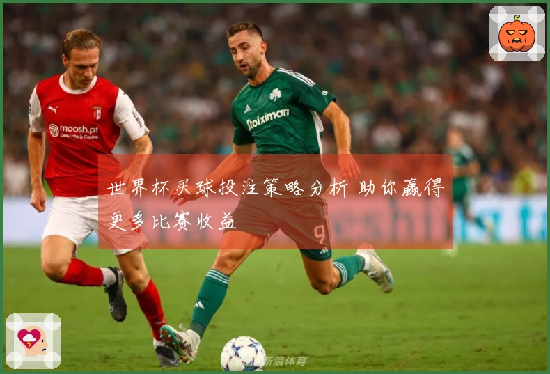 世界杯买球投注策略分析 助你赢得更多比赛收益