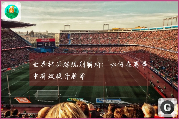 世界杯买球规则解析：如何在赛事中有效提升胜率