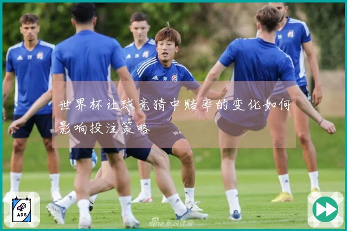 世界杯让球竞猜中赔率的变化如何影响投注策略