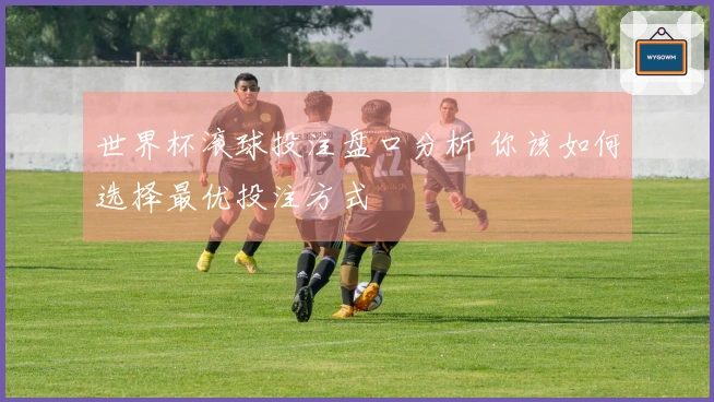 世界杯滚球投注盘口分析 你该如何选择最优投注方式