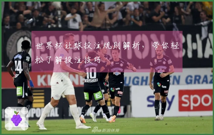 世界杯让球投注规则解析，带你轻松了解投注技巧