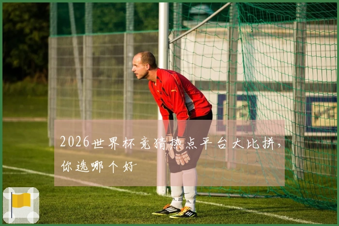 2026世界杯竞猜热点平台大比拼，你选哪个好
