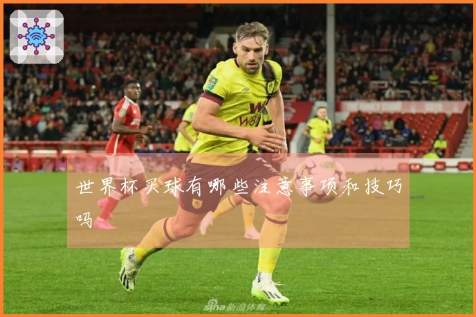 世界杯买球有哪些注意事项和技巧吗