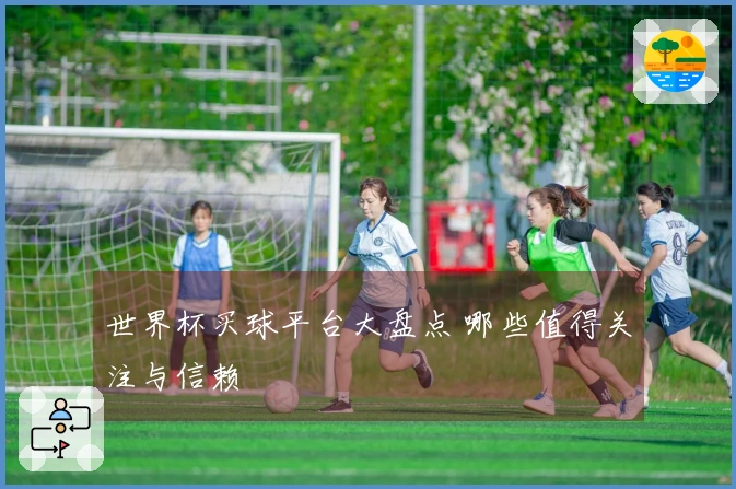世界杯买球平台大盘点 哪些值得关注与信赖