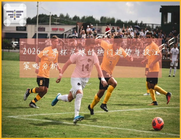 2026世界杯买球的热门趋势与投注策略分析