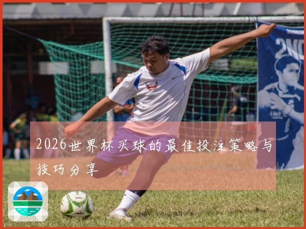 2026世界杯买球的最佳投注策略与技巧分享